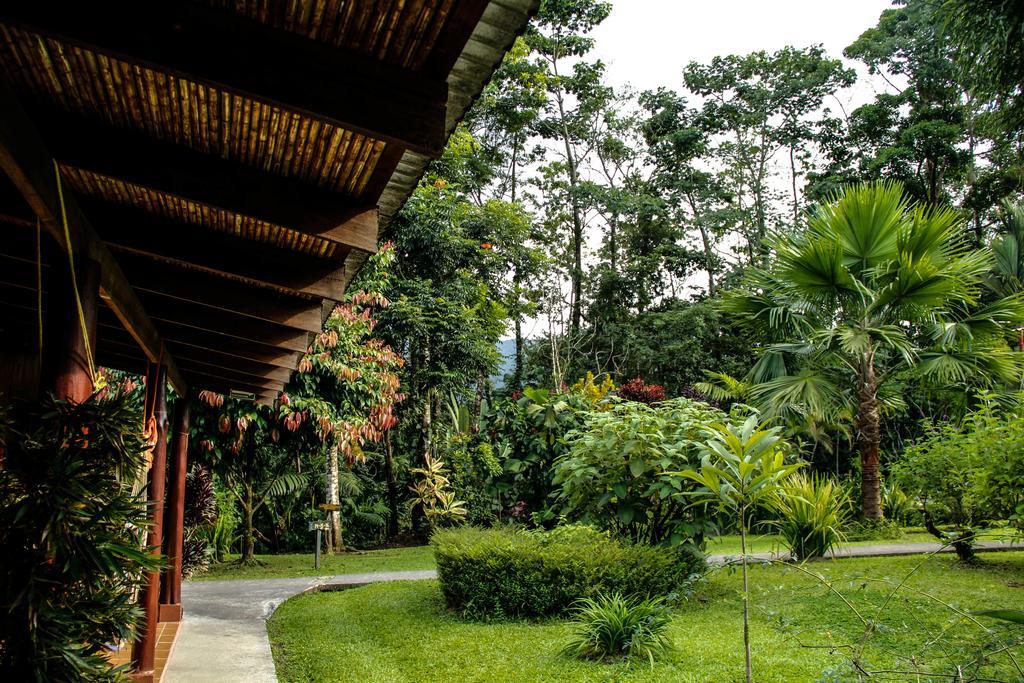 Catarata Eco Lodge La Fortuna Екстериор снимка