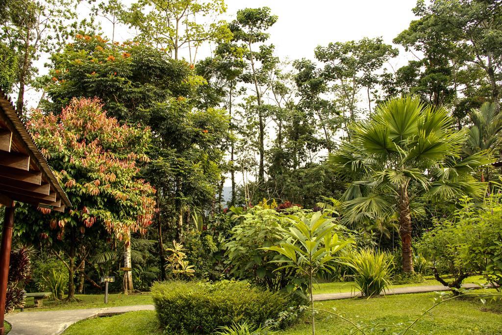 Catarata Eco Lodge La Fortuna Екстериор снимка