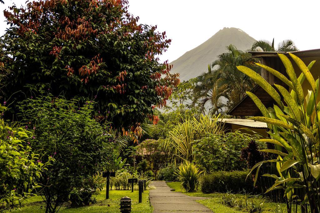 Catarata Eco Lodge La Fortuna Екстериор снимка